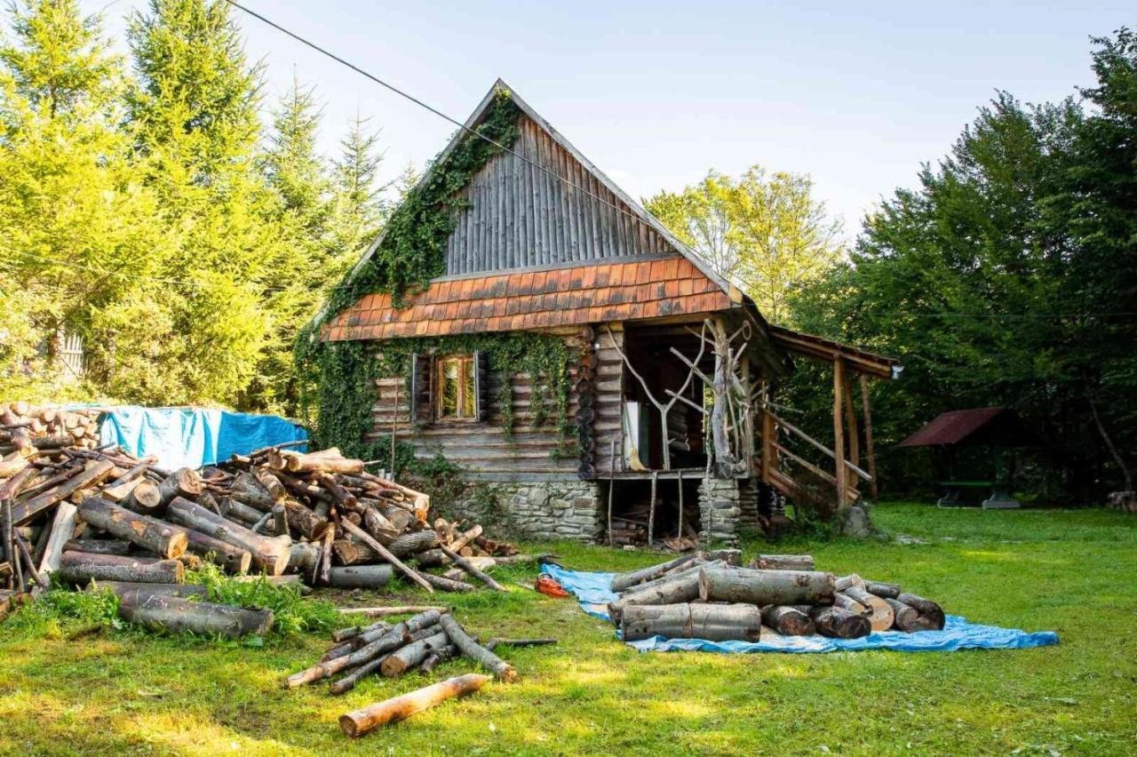 Tatil Evi хатина біля потока Lumshory